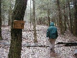 Ruth Bennett McDougal Dorrough; Hiking Day Trips FL Land Trust Preserves Wesley Hill